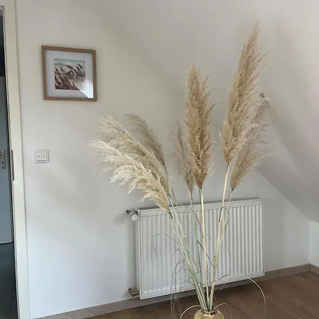 アパート Gemuetliche In Neustadt am Rübenberge